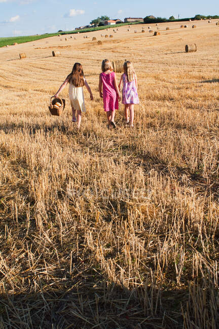 Троє дівчат ходять у поле. — стокове фото