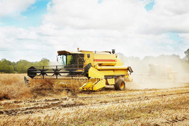 Drescher arbeitet im Getreidefeld — Stockfoto