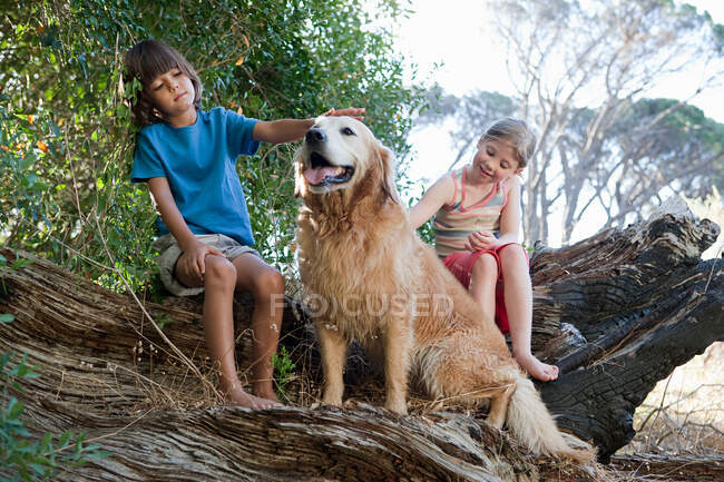 Niños en tronco de árbol con golden retriever - foto de stock