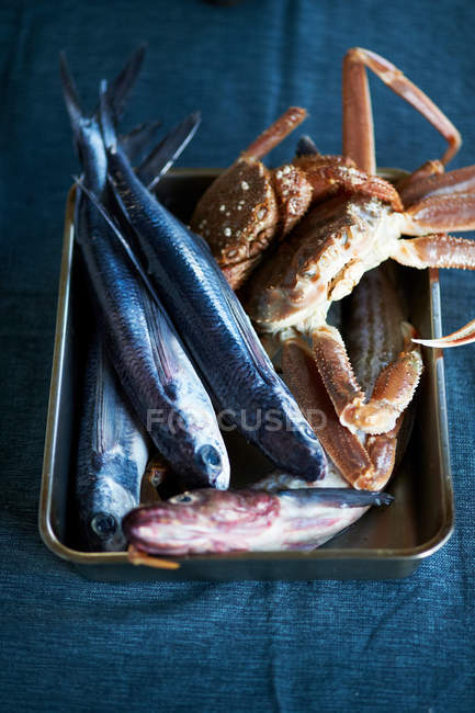 Fresh fishes and crab — Stock Photo