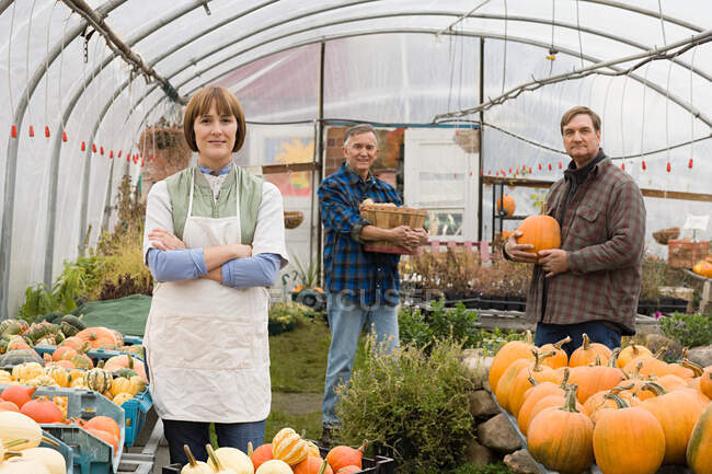 Farmers in greenhouse with pumpkins — Stock Photo