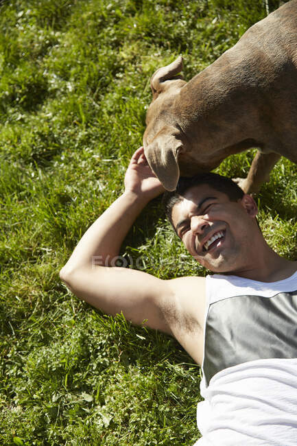 Vue aérienne du jeune homme jouant avec le chien sur l'herbe — Photo de stock