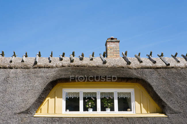 Соломенная крыша дома — стоковое фото