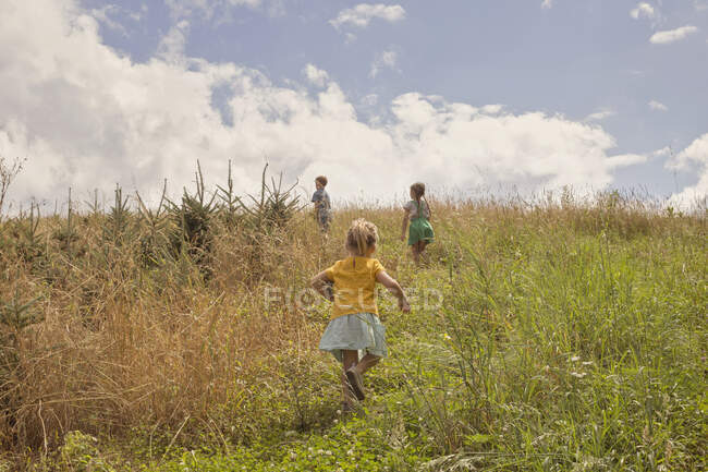 Tres niños pequeños explorando, al aire libre - foto de stock
