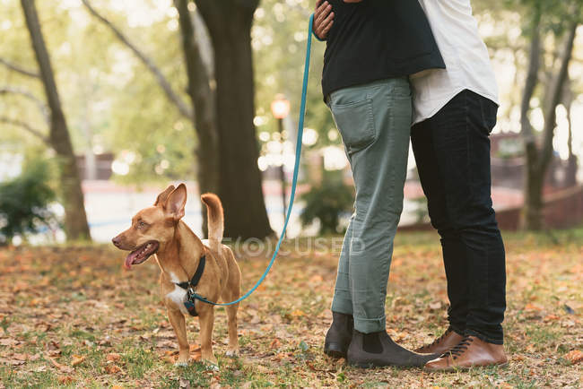 Taille vers le bas vue du jeune couple masculin avec chien étreignant dans le parc — Photo de stock