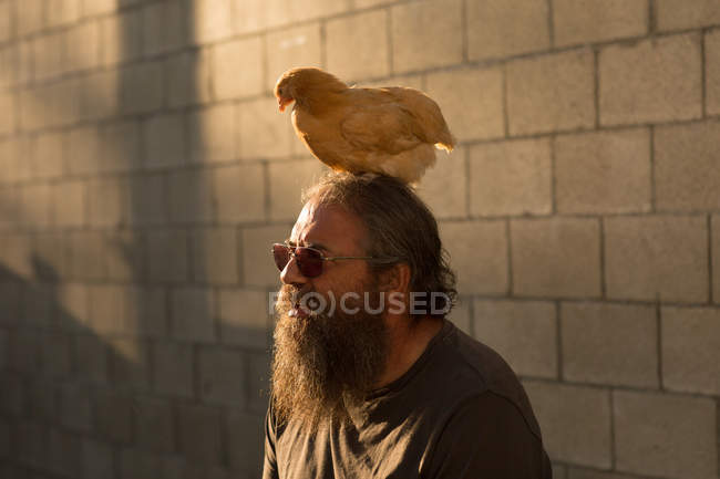 Зрілий чоловік з бородою і сонцезахисними окулярами, на відкритому повітрі, курка сидить на голові — стокове фото