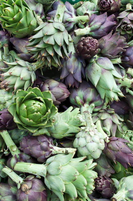 Alcachofas globo y púrpura - foto de stock