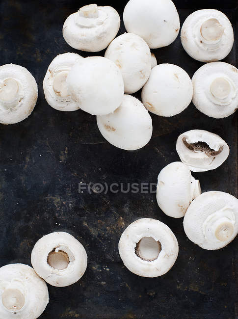 Вид зверху на білі гриби на темному фоні — стокове фото