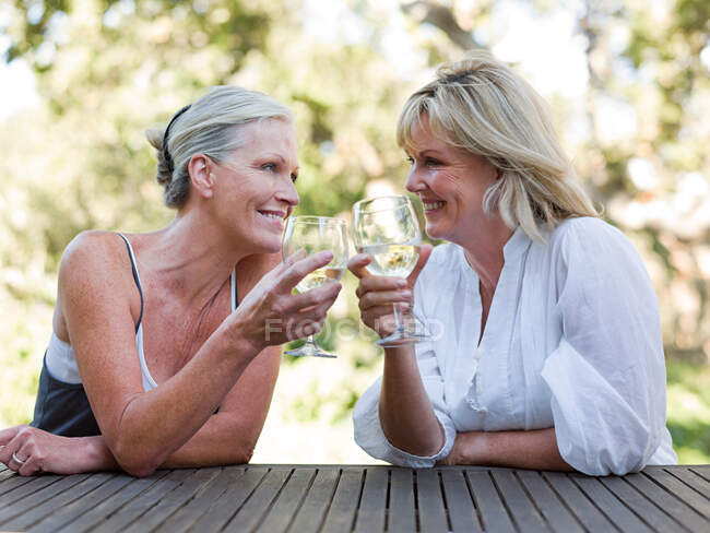 Freunde stoßen mit Wein im Freien an — Stockfoto