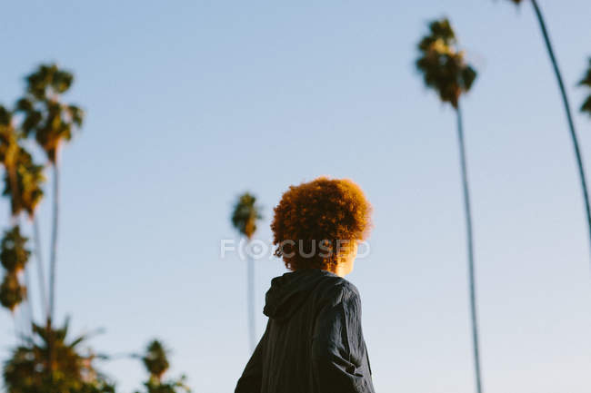 Ragazzo adolescente con capelli afro rossi, all'aperto, vista posteriore — Foto stock