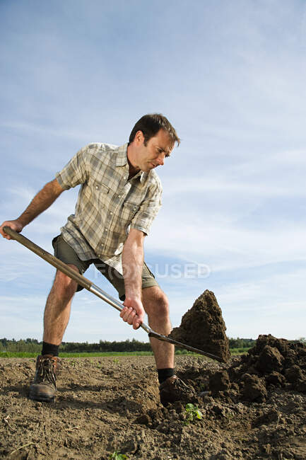 Homme adulte moyen creusant dans le champ — Photo de stock