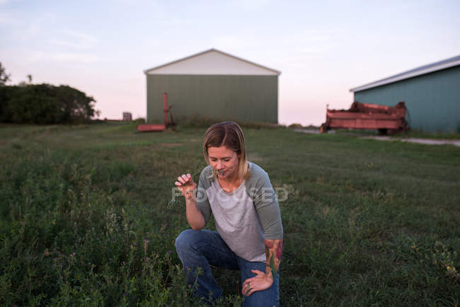 Жінка на фермі, присідає, нюхає рослину. — стокове фото