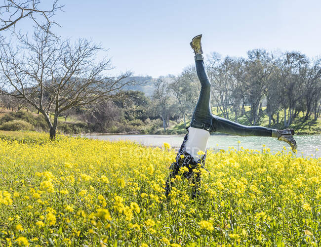 Mature woman doing cartwheel in field of wild flowers, Paso Robles, California, USA — Stock Photo
