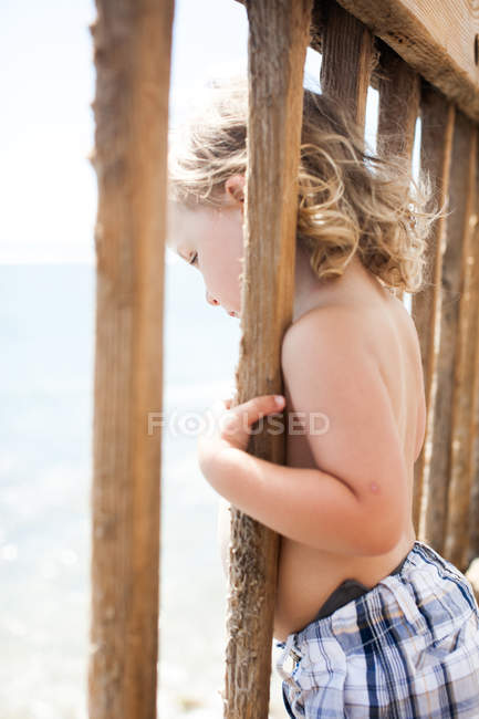 Young boy looking through wooden fence — Stock Photo