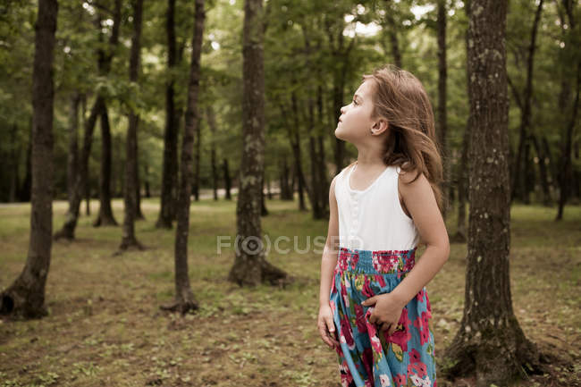 Дівчина стоїть в лісі і дивиться вгору — стокове фото