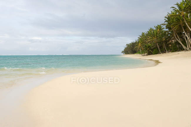 Spiaggia con palme — Foto stock