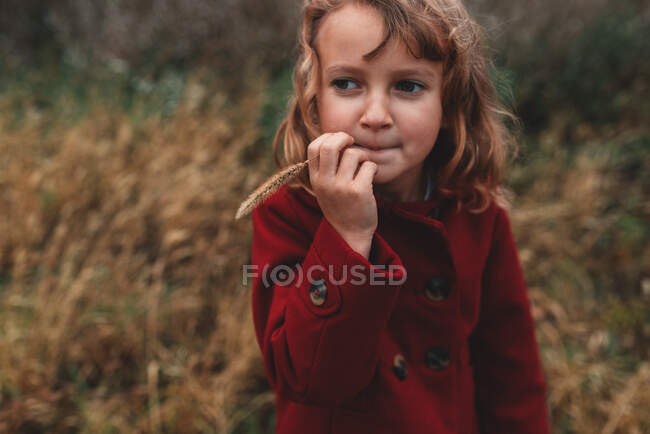 Porträt eines Mädchens, das auf einem Feld langes Gras kaut — Stockfoto