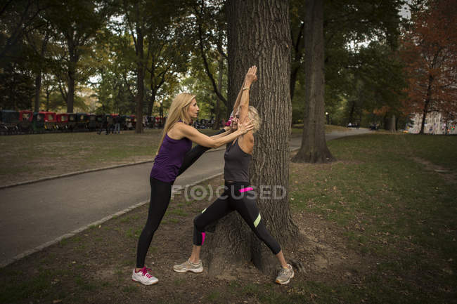 Две зрелые подруги тренируются в парке, растягиваются — стоковое фото