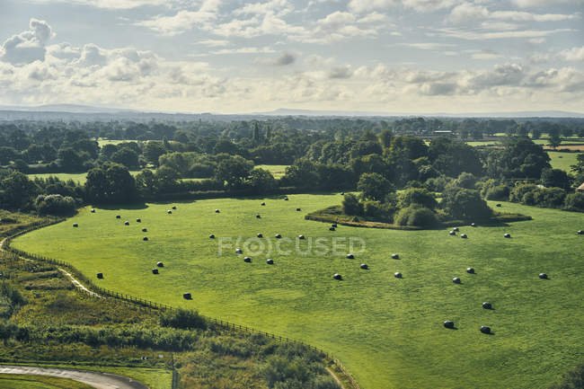 Aerial view of trees and fields, Yorkshire, UK — Stock Photo