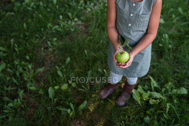 Imagen recortada de niña sosteniendo manzana fresca, sección baja - foto de stock