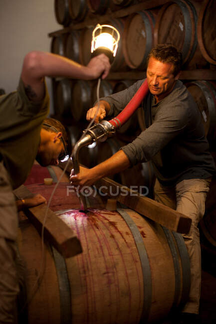 Pumping into barrel of wine — Stock Photo