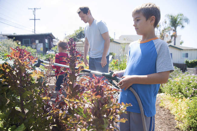 Boy with brother and father spraying plants in allotment — Stock Photo