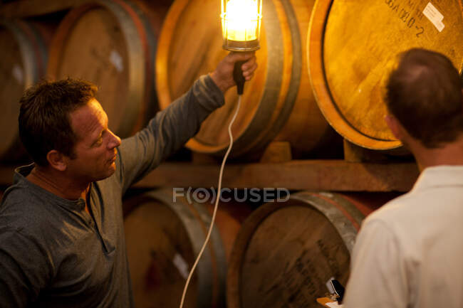 Vérification du vieillissement du vin en barriques — Photo de stock
