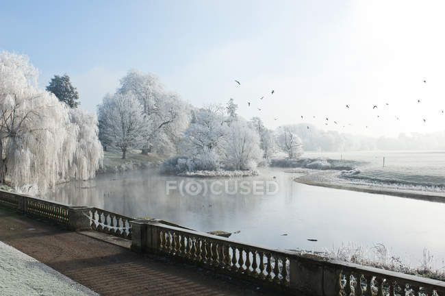 Frosty lake and snowy trees — Stock Photo