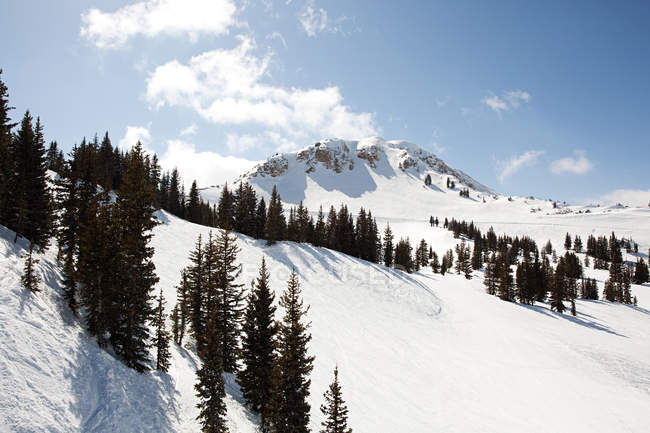 Estância de esqui em utah EUA — Fotografia de Stock