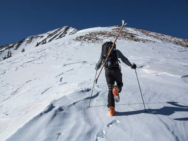 Esquiador cross country caminhando até a encosta — Fotografia de Stock