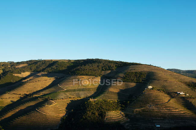 Verdes colinas bajo cielo azul claro, Portugal - foto de stock