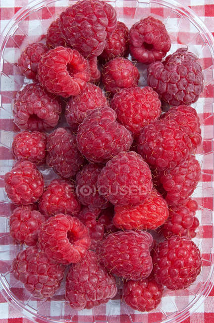 Ripe delicious Raspberries in punnet — Stock Photo