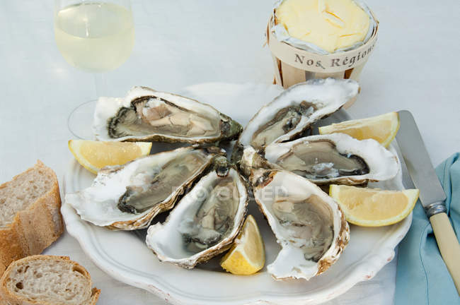 Oysters in shells served with lemon — Stock Photo