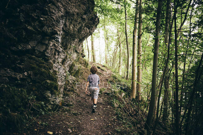 Vue arrière d'un garçon marchant sur un chemin de terre en forêt, Bludenz, Vorarlberg, Autriche — Photo de stock