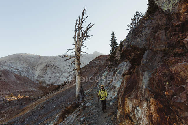 Männliche Wanderer wandern entlang der Berghänge, Mineralienkönig, Mammutbaum-Nationalpark, Kalifornien, USA — Stockfoto