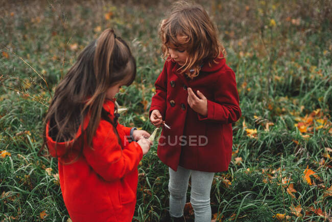 Zwei junge Schwestern betrachten Wildblumenschoten im Feld — Stockfoto