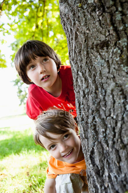 Deux garçons se cachent derrière un arbre Gros plan — Photo de stock