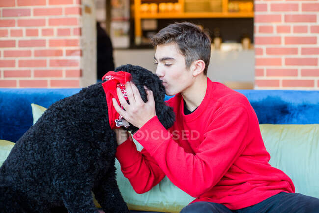Adolescent garçon jouer avec animal chien sur canapé — Photo de stock