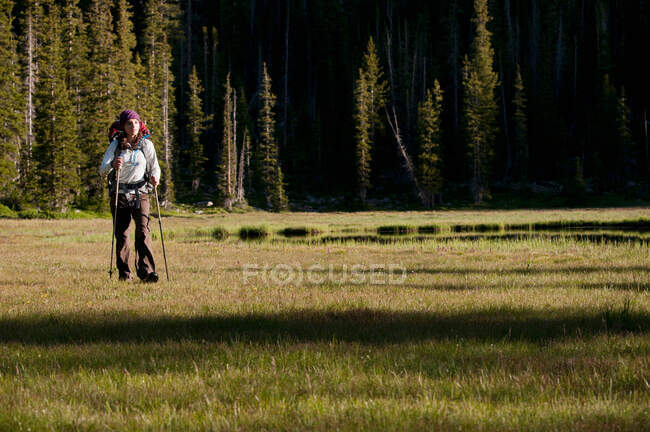Escursionista che trasporta il pacchetto nel paesaggio rurale — Foto stock