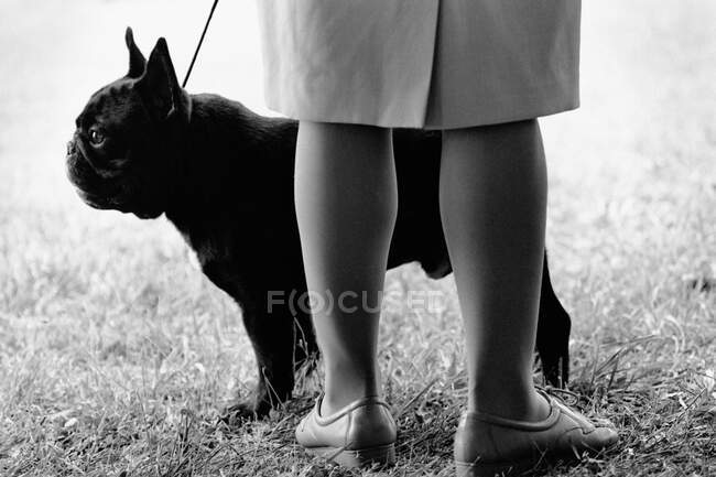 Woman with dog in park — Stock Photo