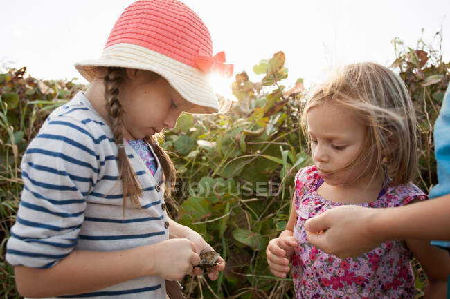 Mädchen untersucht Muscheln, Blowing Rocks Preserve, Jupiter, Florida, USA — Stockfoto