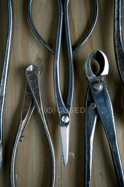 Metal scissors for Bonsai on wooden background — Stock Photo