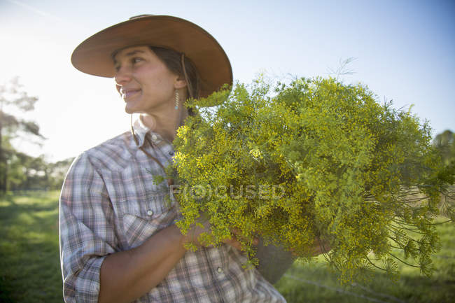 Молодая женщина держит букет цветущего укропа (anethum graveolens) с цветочного поля фермы — стоковое фото
