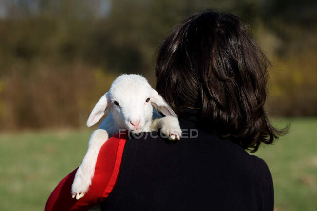 Person holding goat kid over shoulder — Stock Photo