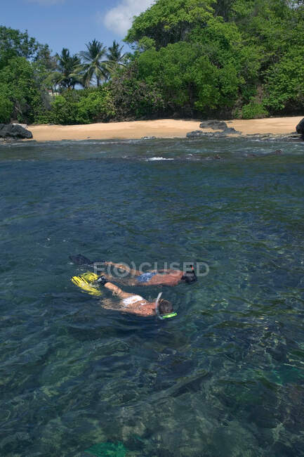 Couple snorkels near shore. — Stock Photo