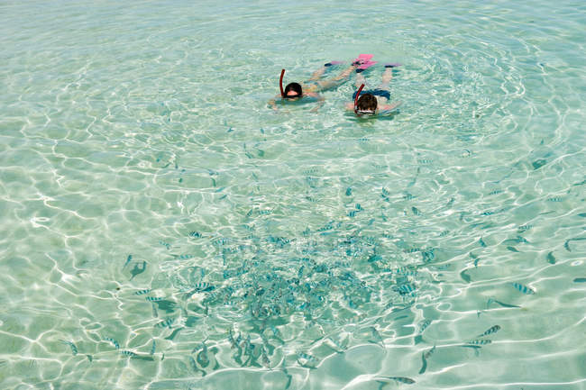 Casal adulto médio snorkeling e olhando para peixes — Fotografia de Stock