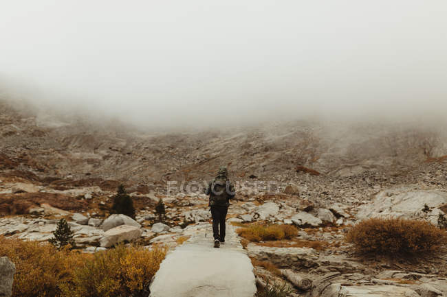 Rear view of male hiker hiking in misty valley, Mineral King, Sequoia National Park, California, USA — Stock Photo