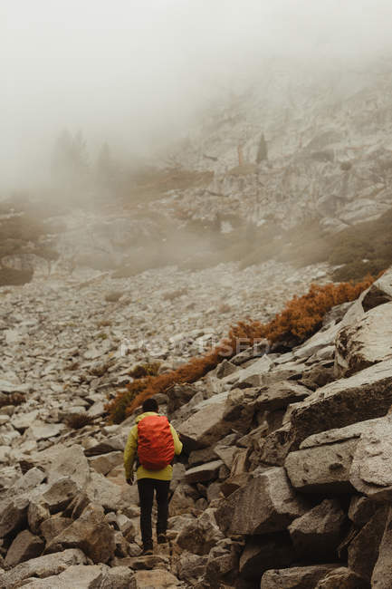 Rückansicht männlicher Wanderer beim Wandern im Felsental, Mineralienkönig, Mammutbaum-Nationalpark, Kalifornien, USA — Stockfoto