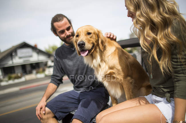 Jovem casal com cão sentado na parte de trás do jipe — Fotografia de Stock