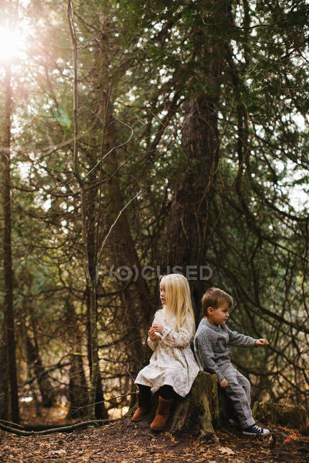 Frères et sœurs assis sur un tronc d'arbre dans la forêt — Photo de stock